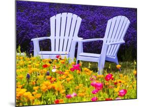 USA, Washington State, Adirondack chairs In Field of Lavender and Poppies-Terry Eggers-Mounted Photographic Print