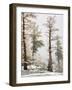 USA, Washington State. Alpine Lakes Wilderness, Enchantment Lakes, Larch and Fir trees-Jamie & Judy Wild-Framed Photographic Print