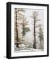 USA, Washington State. Alpine Lakes Wilderness, Enchantment Lakes, Larch and Fir trees-Jamie & Judy Wild-Framed Photographic Print