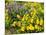 USA, Washington State. Arrowleaf balsamroot and lupine-Terry Eggers-Mounted Photographic Print