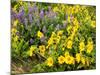 USA, Washington State. Arrowleaf balsamroot and lupine-Terry Eggers-Mounted Photographic Print