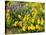 USA, Washington State. Arrowleaf balsamroot and lupine-Terry Eggers-Stretched Canvas