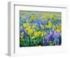 USA, Washington State. Arrowleaf balsamroot and lupine-Terry Eggers-Framed Photographic Print