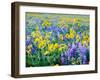 USA, Washington State. Arrowleaf balsamroot and lupine-Terry Eggers-Framed Photographic Print