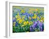 USA, Washington State. Arrowleaf balsamroot and lupine-Terry Eggers-Framed Photographic Print