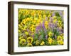 USA, Washington State. Arrowleaf balsamroot and lupine-Terry Eggers-Framed Photographic Print