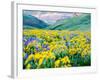 USA, Washington State. Arrowleaf balsamroot and lupine-Terry Eggers-Framed Photographic Print