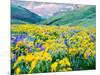 USA, Washington State. Arrowleaf balsamroot and lupine-Terry Eggers-Mounted Photographic Print