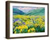 USA, Washington State. Arrowleaf balsamroot and lupine-Terry Eggers-Framed Photographic Print