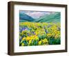 USA, Washington State. Arrowleaf balsamroot and lupine-Terry Eggers-Framed Photographic Print