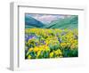 USA, Washington State. Arrowleaf balsamroot and lupine-Terry Eggers-Framed Photographic Print