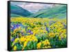 USA, Washington State. Arrowleaf balsamroot and lupine-Terry Eggers-Framed Stretched Canvas