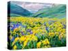 USA, Washington State. Arrowleaf balsamroot and lupine-Terry Eggers-Stretched Canvas