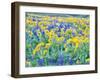 USA, Washington State. Arrowleaf balsamroot and lupine-Terry Eggers-Framed Premium Photographic Print