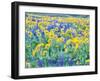 USA, Washington State. Arrowleaf balsamroot and lupine-Terry Eggers-Framed Premium Photographic Print