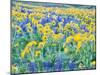 USA, Washington State. Arrowleaf balsamroot and lupine-Terry Eggers-Mounted Premium Photographic Print