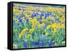 USA, Washington State. Arrowleaf balsamroot and lupine-Terry Eggers-Framed Stretched Canvas