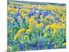 USA, Washington State. Arrowleaf balsamroot and lupine-Terry Eggers-Mounted Photographic Print