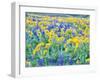 USA, Washington State. Arrowleaf balsamroot and lupine-Terry Eggers-Framed Photographic Print