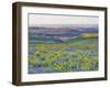 USA, Washington State. Arrowleaf balsamroot and lupine-Terry Eggers-Framed Photographic Print