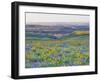 USA, Washington State. Arrowleaf balsamroot and lupine-Terry Eggers-Framed Photographic Print