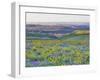 USA, Washington State. Arrowleaf balsamroot and lupine-Terry Eggers-Framed Photographic Print