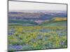 USA, Washington State. Arrowleaf balsamroot and lupine-Terry Eggers-Mounted Photographic Print