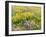 USA, Washington State. Arrowleaf balsamroot and lupine-Terry Eggers-Framed Photographic Print