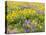 USA, Washington State. Arrowleaf balsamroot and lupine-Terry Eggers-Stretched Canvas