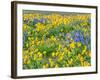 USA, Washington State. Arrowleaf balsamroot and lupine-Terry Eggers-Framed Photographic Print