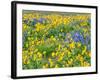 USA, Washington State. Arrowleaf balsamroot and lupine-Terry Eggers-Framed Photographic Print