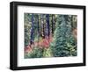 USA, Washington State. Autumn color with yellow, red and green.-Terry Eggers-Framed Photographic Print