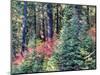 USA, Washington State. Autumn color with yellow, red and green.-Terry Eggers-Mounted Photographic Print