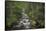 USA, Washington State. Beckler River, Mount Baker Snoqualmie National Forest.-Alan Majchrowicz-Framed Stretched Canvas