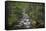 USA, Washington State. Beckler River, Mount Baker Snoqualmie National Forest.-Alan Majchrowicz-Framed Stretched Canvas