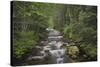 USA, Washington State. Beckler River, Mount Baker Snoqualmie National Forest.-Alan Majchrowicz-Stretched Canvas