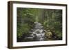 USA, Washington State. Beckler River, Mount Baker Snoqualmie National Forest.-Alan Majchrowicz-Framed Photographic Print