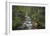 USA, Washington State. Beckler River, Mount Baker Snoqualmie National Forest.-Alan Majchrowicz-Framed Photographic Print