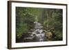 USA, Washington State. Beckler River, Mount Baker Snoqualmie National Forest.-Alan Majchrowicz-Framed Photographic Print