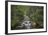 USA, Washington State. Beckler River, Mount Baker Snoqualmie National Forest.-Alan Majchrowicz-Framed Photographic Print