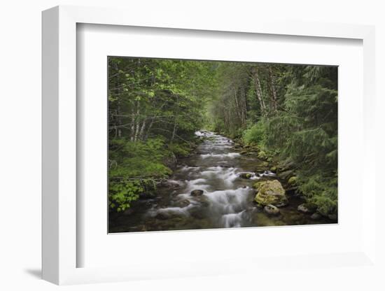 USA, Washington State. Beckler River, Mount Baker Snoqualmie National Forest.-Alan Majchrowicz-Framed Photographic Print