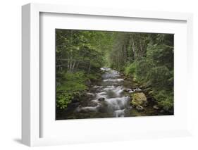 USA, Washington State. Beckler River, Mount Baker Snoqualmie National Forest.-Alan Majchrowicz-Framed Photographic Print