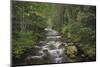 USA, Washington State. Beckler River, Mount Baker Snoqualmie National Forest.-Alan Majchrowicz-Mounted Photographic Print