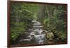 USA, Washington State. Beckler River, Mount Baker Snoqualmie National Forest.-Alan Majchrowicz-Framed Photographic Print