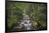 USA, Washington State. Beckler River, Mount Baker Snoqualmie National Forest.-Alan Majchrowicz-Framed Photographic Print