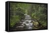 USA, Washington State. Beckler River, Mount Baker Snoqualmie National Forest.-Alan Majchrowicz-Framed Stretched Canvas