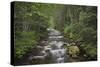 USA, Washington State. Beckler River, Mount Baker Snoqualmie National Forest.-Alan Majchrowicz-Stretched Canvas