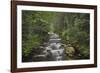 USA, Washington State. Beckler River, Mount Baker Snoqualmie National Forest.-Alan Majchrowicz-Framed Photographic Print