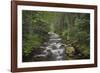 USA, Washington State. Beckler River, Mount Baker Snoqualmie National Forest.-Alan Majchrowicz-Framed Photographic Print