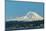 USA, Washington State, Bellevue. Mount Rainier seen from Lake Washington.-Merrill Images-Mounted Photographic Print